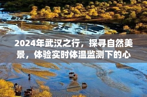 2024武汉之旅，自然美景探寻与实时体温监测的心灵之旅