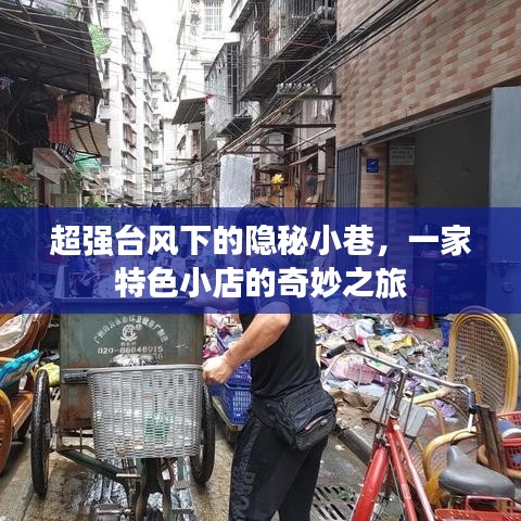 超强台风下的隐秘小巷奇妙之旅，一家特色小店的独特风情