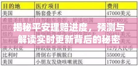 平安理赔进度深度解析，实时更新背后的秘密揭秘