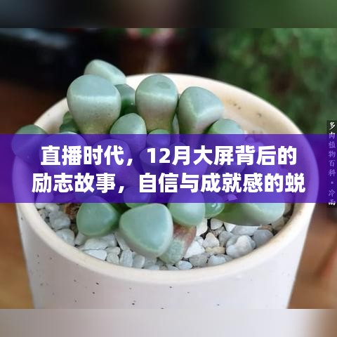 直播时代，大屏背后的励志故事——自信与成就感的蜕变之旅