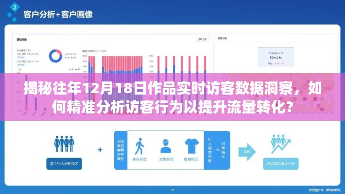 揭秘往年作品访客数据洞察，精准分析访客行为提升流量转化策略揭秘！