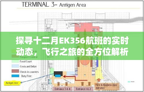 十二月EK356航班实时动态解析，全方位探寻飞行之旅