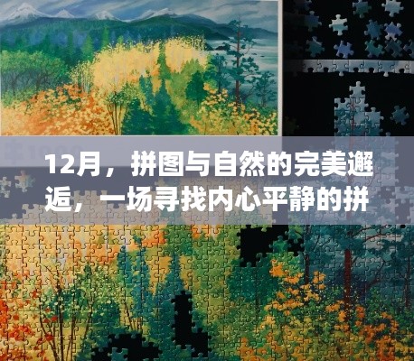 12月拼图之旅，与自然相遇，寻找内心的宁静