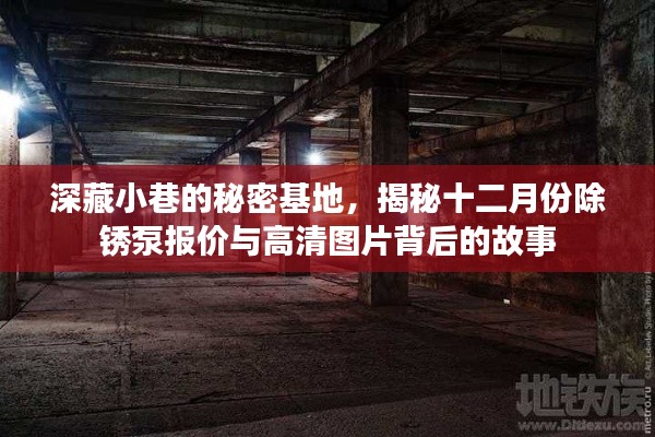 深藏小巷的秘密基地揭秘，十二月份除锈泵报价与高清图片背后的故事揭秘