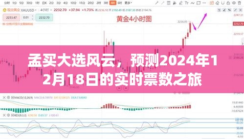 孟买大选实时票数预测之旅，聚焦2024年12月1 8日大选风云