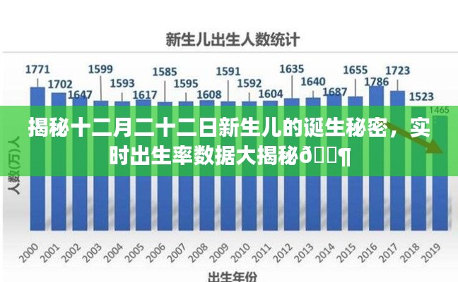 揭秘十二月二十二日新生儿的诞生秘密与实时出生率数据曝光👶