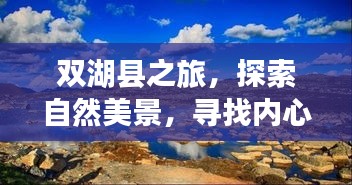 寥若晨星