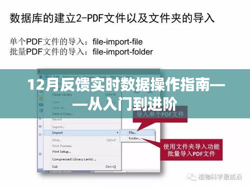 从入门到进阶，12月实时数据操作指南