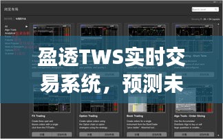 盈透TWS实时交易系统，未来交易体验与价格动态预测展望