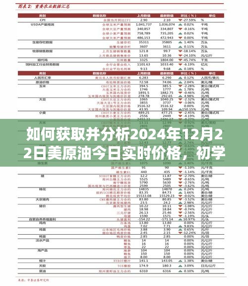 全方位指南，获取并分析2024年12月22日美国原油实时价格——从初学者到进阶用户的实用指南