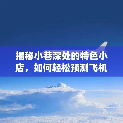 探访小巷特色小店与未来航班追踪技术，揭秘飞机实时落地动态新体验！