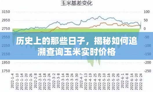 揭秘历史玉米实时价格追溯查询方法