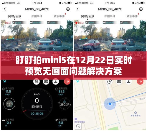 盯盯拍mini5实时预览无画面问题解决方案揭秘