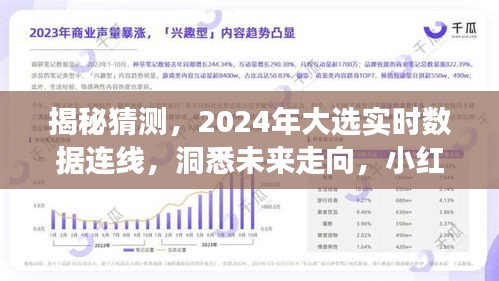 小红书揭秘，洞悉未来走向，2024大选实时数据连线风云变幻！