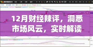 12月财经深度解析，市场风云与经济热点实时解读
