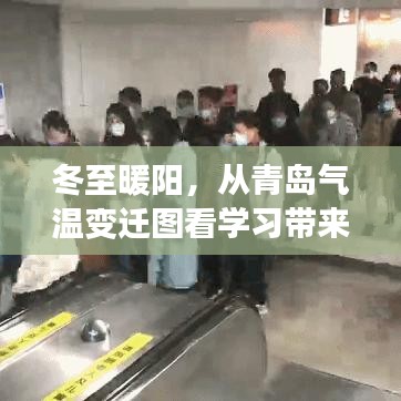 冬至暖阳下的自信与成就感，青岛气温变迁图见证学习之旅