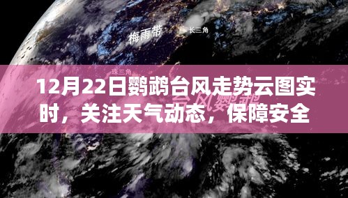 鹦鹉台风实时走势云图，关注天气动态，保障出行安全通知