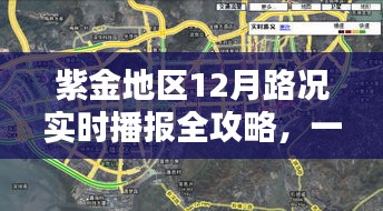 紫金地区12月路况实时播报详解，掌握最新路况信息的全攻略