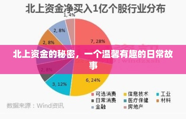 北上资金的秘密，日常温馨趣事探索