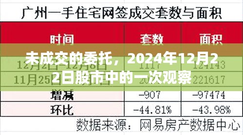 股市观察，未成交的委托在2024年12月22日的一天