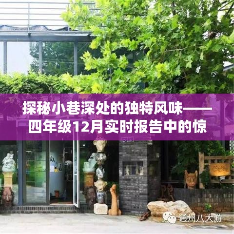 小巷深处的独特风味与四年级实时报告中的惊喜发现