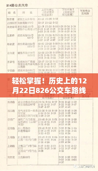 历史上的公交车路线实时查询全攻略，轻松掌握12月22日826公交车路线查询攻略