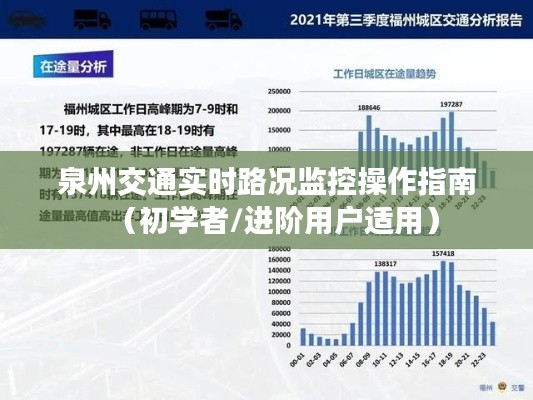 泉州交通实时路况监控操作指南，初学者与进阶用户适用指南