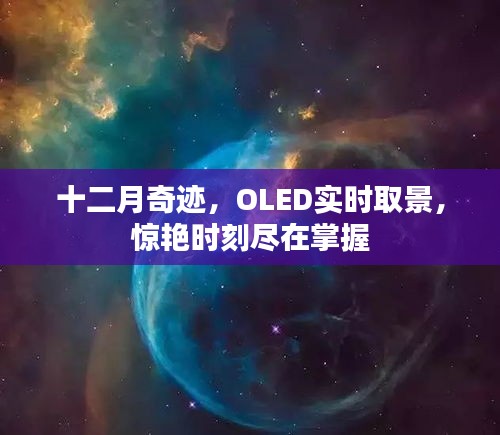 十二月奇迹，OLED实时取景，惊艳时刻尽在掌控