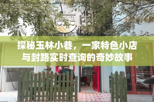 探秘玉林小巷，特色小店与封路查询背后的故事