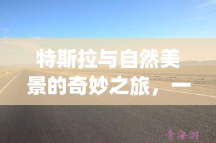 特斯拉之旅，与自然美景的奇妙邂逅，心灵觉醒的远离尘嚣之旅