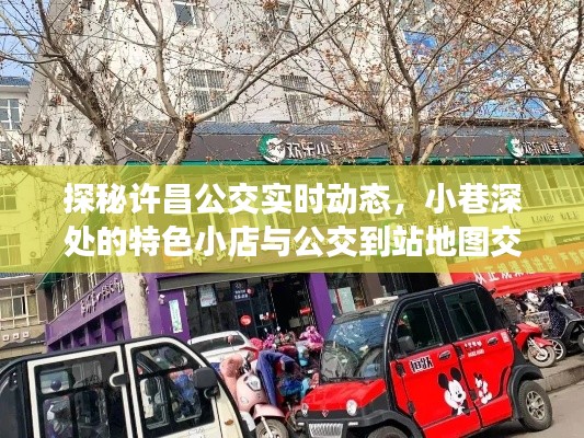 许昌公交实时动态探秘，公交到站地图与小巷深处特色小店交汇之处