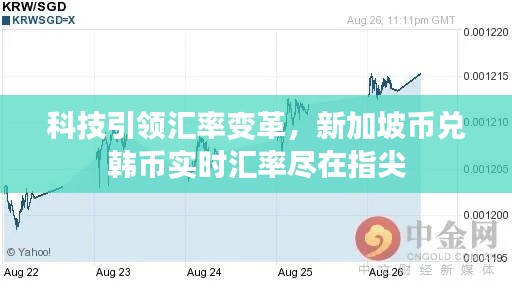 2024年12月26日 第18页