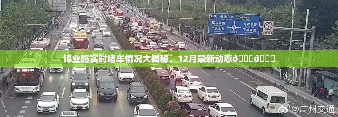 锦业路实时交通状况揭秘，最新堵车动态与12月交通动态报告🚗🚘