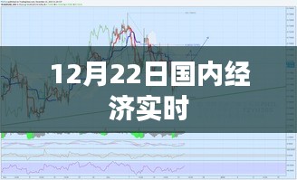 建议，国内经济实时动态，12月22日最新消息