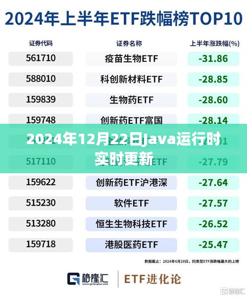 Java运行时实时更新功能解析（日期，2024年）