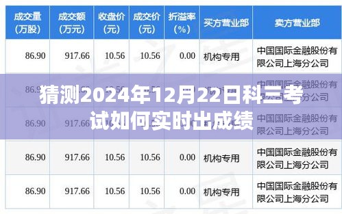 2024年12月26日 第11页