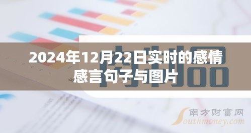 时光印记，2024年感情感言与瞬间图片分享