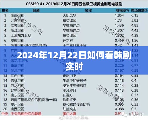 韩剧实时观看指南，如何于2024年12月22日观看韩剧直播