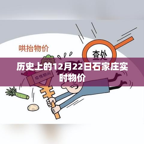 石家庄实时物价历史变迁，揭秘12月22日数据