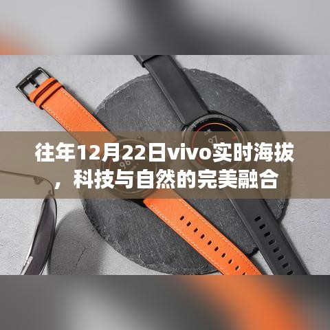 科技与自然的融合，vivo实时海拔功能展现