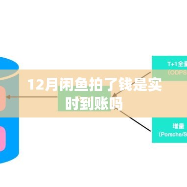 闲鱼拍卖支付后资金到账时间解析