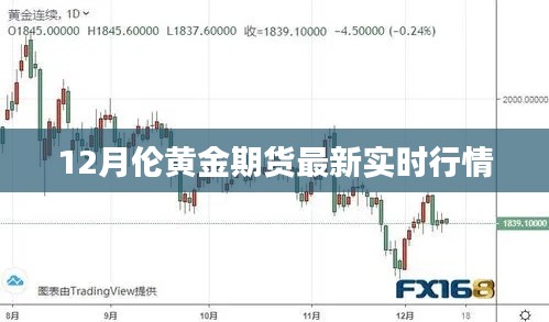 伦黄金期货最新实时行情分析