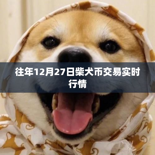 柴犬币交易行情实时更新，历年数据对比分析