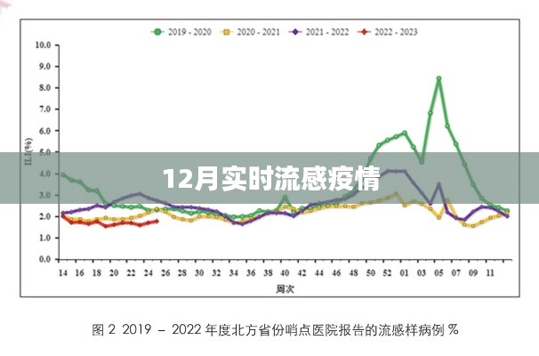 最新流感疫情动态，关注十二月流感传播情况