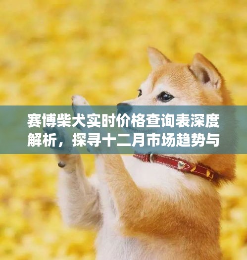 赛博柴犬实时价格解析与十二月市场趋势展望