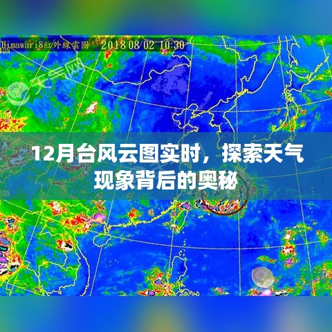 探索天气奥秘，实时查看台风云图动态