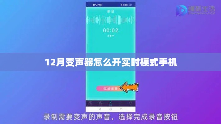 手机变声器实时模式开启教程，12月操作指南