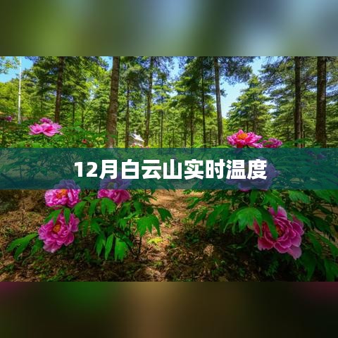 白云山实时温度，冬季温暖如春