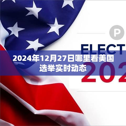 美国选举实时动态，最新消息与预测