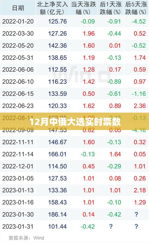 中俄大选实时票数统计及分析